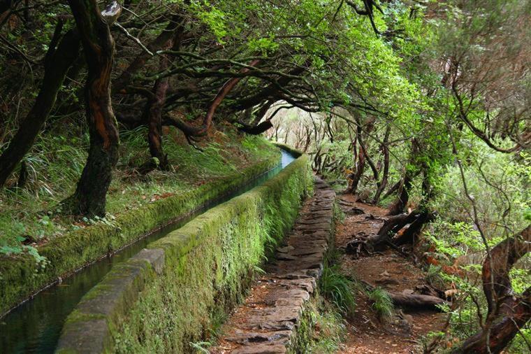Cantinho Da Te Камара-де-Лобуш Экстерьер фото